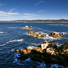 Point Lobos, Carmel 12.28.08 : Carmel, CA